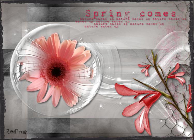 03032012-spring.jpg